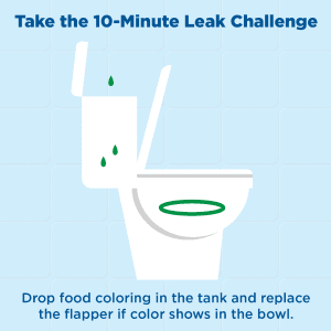 10 minute challenge graphic toilet test